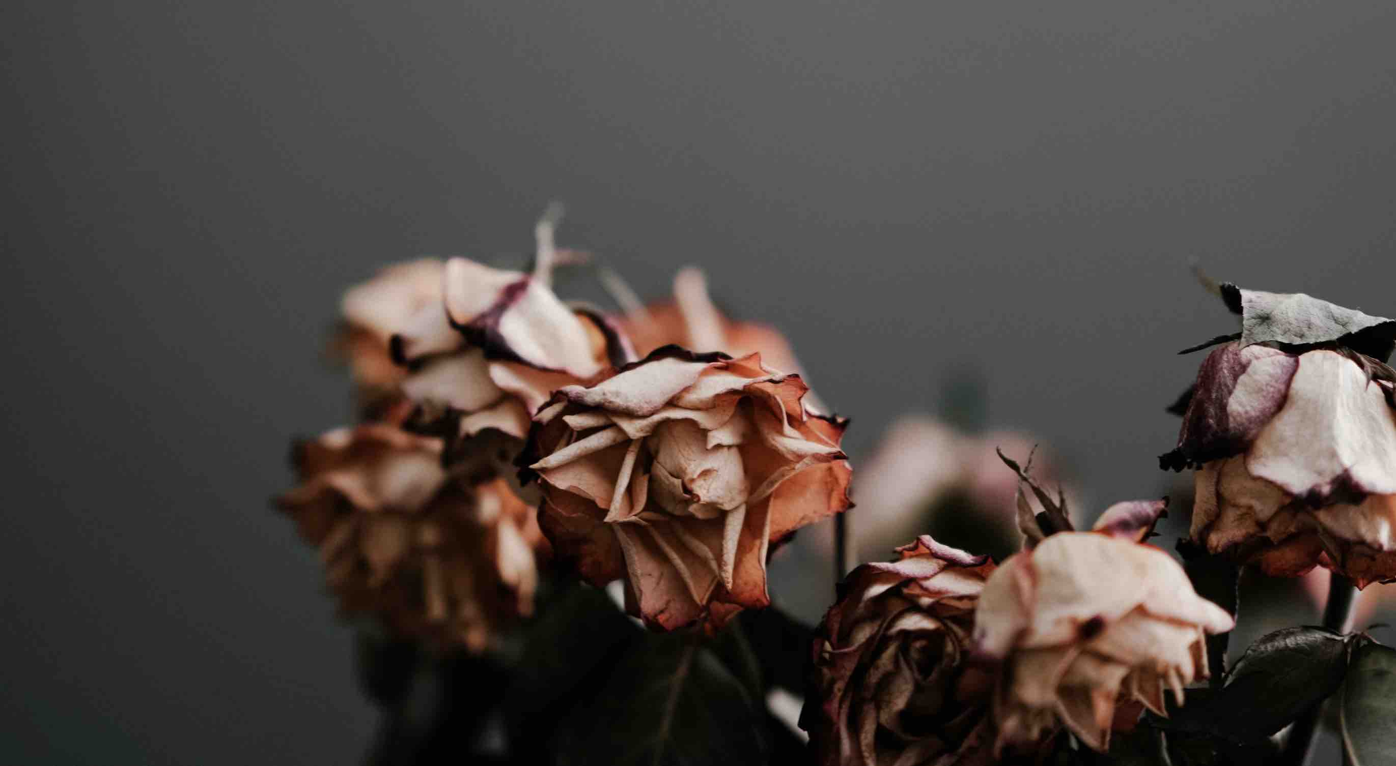 Advarsel imot død tro | Ove Heradstveit | Åmli menighetssenter