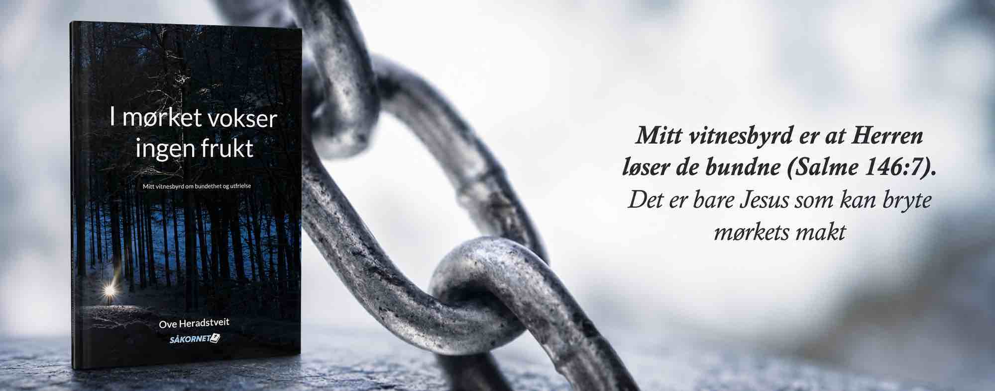 mitt-vitnesbyrd