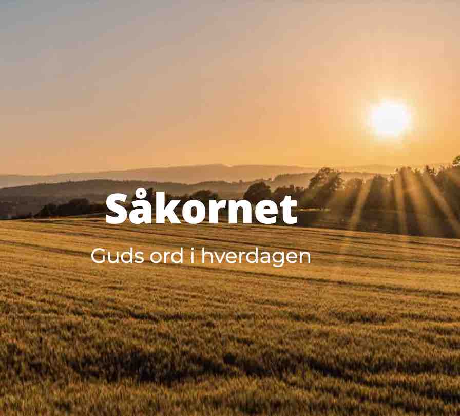 såkornet